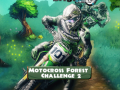 Spil Motocross Skov Udfordring 2 online