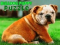 Spil Bulldog Hvalpe Puzzle online