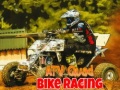 Spil ATV Quad Bike Racing online