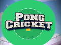 Spil Pong Cricket online