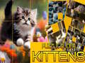 Spil Puzzle Glidende Katte online