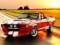 Spil Forskelle i Fancy Mustang online