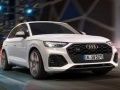 Spil Audi SQ5 TDI Glid online