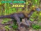 Spil De mindste dinosaurer puslespil online