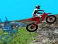 Spil Skovcykel Test 2019 online