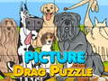 Spil Billede Træk Puzzle online