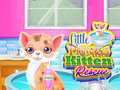 Spil Redning af den lille prinsessekat online