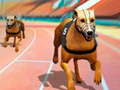 Spil Hunde3D Løb online