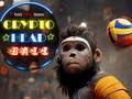 Spil Krypto Hoved Bold online