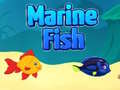 Spil Marin fisk online