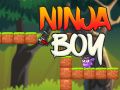 Spil Ninja Dreng online