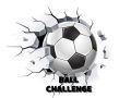 Spil Boldudfordring online