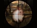 Spil Klassisk Kanin Sniper Jag 2019 online