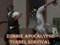 Spil Overlevelse i zombiapokalypse tunnelen online