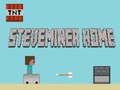 Spil Steveminer Hjem online