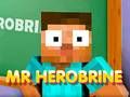 Spil Hr. Herobrine online