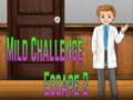 Spil Amgel Mild Udfordring Flugt 2 online