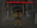 Spil Tomb Raider: Åben Lara online