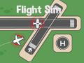 Spil Flysimulator online
