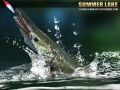 Spil Sommer Sø 1.5 online