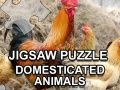 Spil Jigsaw Puzzle Husdyr online