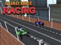 Spil Quad Bike Racing online