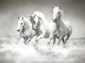 Spil Heste Puzzle online