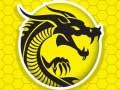 Spil Kung Fu Raseri online