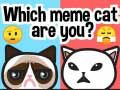 Spil Hvilken meme kat er du? online