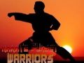 Spil Karate Solnedgang Krigere online