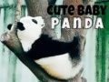 Spil Sød baby panda online