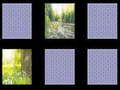 Spil Natur Hukommelse online