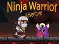 Spil Ninja Kriger Eventyr online