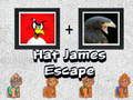 Spil Hat James Flugt online