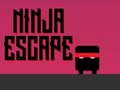 Spil Ninja Flugt online