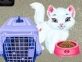 Spil Baby Taylor: Kæledyrspleje online