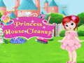 Spil Rengøring af prinsessens hus online