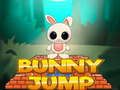 Spil Kaninhop online Spil Kaninhop online