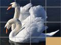 Spil Dyr Glidende Puslespil online Spil Dyr Glidende Puslespil online