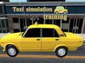 Spil Taxisimuleringsuddannelse online