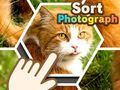 Spil Sortér fotos online