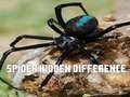 Spil Edderkop: Find forskellene online Spil Edderkop: Find forskellene online