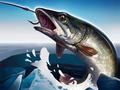 Spil Isfiskeri 3D online Spil Isfiskeri 3D online