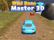 Spil Vild Race Mester 3D online