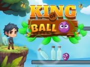 Spil Boldens Konge online