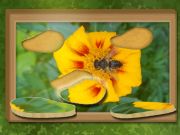 Spil Find & Restore: Skjult puslespil online