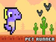 Spil Pet Runner online