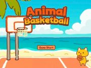 Spil Dyre basketball online