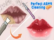 Spil Perfekt ASMR -rengøring online