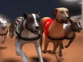 Spil Greyhound væddeløb online